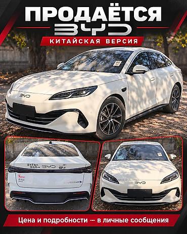 byd e2 2023: BYD (китайская версия), электрический седан - Кузов: 4-дверный — 1