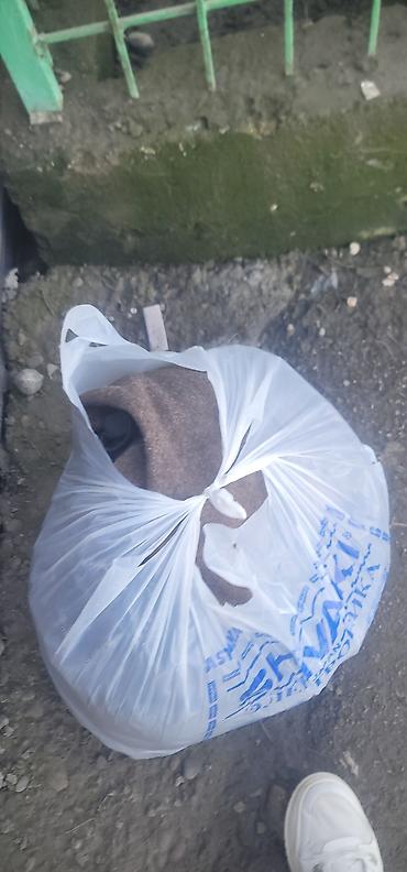 Пальто: Шинель солдатская — 9