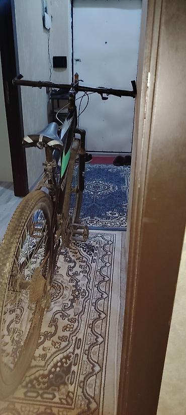 idman velosipedi type 1: Şəhər/dağ tipli BMX City velosipedi - Çərçivə: yüngül alüminium, BMX — 2