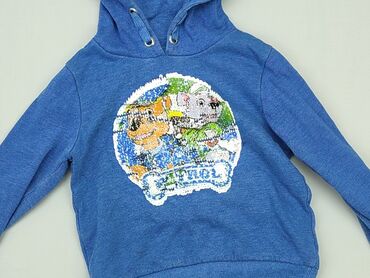 allegro sweterki dla dziewczynek: Sweatshirt, 4-5 years, 104-110 cm, condition - Very good