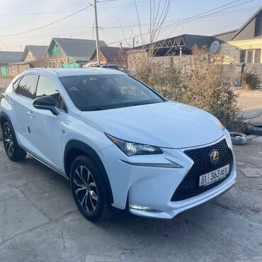 Lexus: Lexus NX: 2017 г., Кроссовер — 6