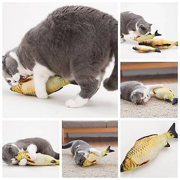 Зоотовары: ПРОДАЮ КОШАЧЬЮ МЯТУ(АНТИСТРЕСС),ПОРАДУЙТЕ СВОГО КОТИКА ТАКОЙ — 9