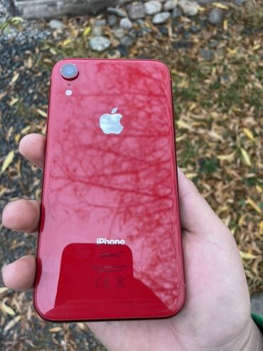 штатив с лампой для телефона бишкек: IPhone Xr, Красный at lalafo.kg штатив с лампой для телефона бишкек: IPhone Xr, Красный