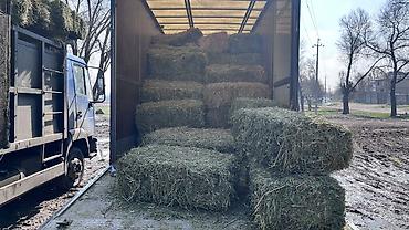 Корма для с/х животных: Сено в тюках 2 кос беде самовывоз - Формат: прямоугольные тюки — 6