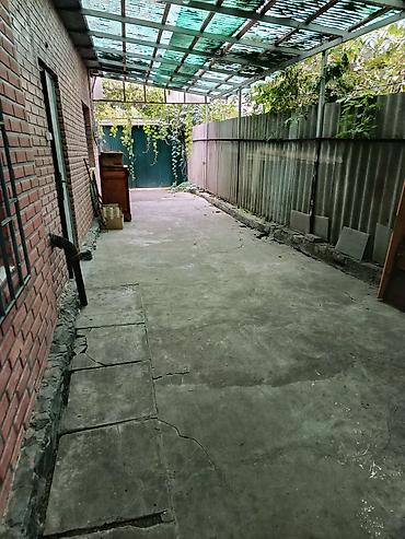 дом пр: 40 м², 1 комната, Можно с животными — 7