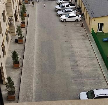 Аренда квартир: 2 комнаты, Асанбай мкр Агентство недвижимости, Без животных, от 6 месяцев, от 1 года, С мебелью полностью — 3