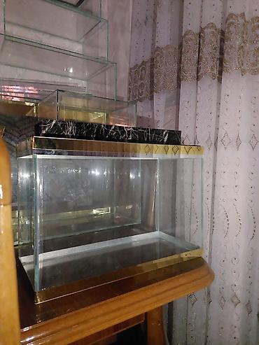 Akvariumlar: Çatdırılma tam pulsuzdu ölçü və dizaynında dəyişiklik etməy olar arxa — 11