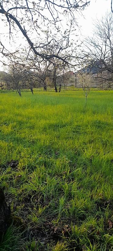 xırdalan torpaq satışı: 5 sot, Mülkiyyətçi, Kupça (Çıxarış) — 1