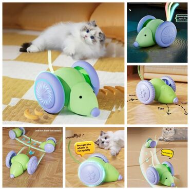 Товары и оборудование для с/х животных: Продаю новые в отличном качестве кошачие лотки крытые и открытые с — 5