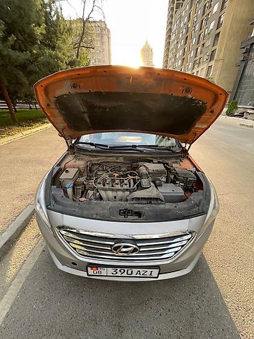 соната жёлтый: Hyundai Sonata: 2018 г., 2 л, Автомат, Газ — 5