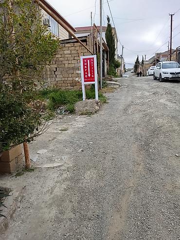 ha: Tikinti, Kupça (Çıxarış) — 1