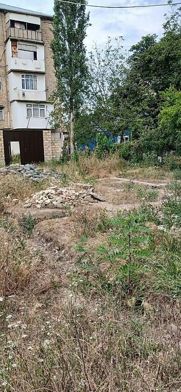 Torpaq sahələrinin satışı: 2 sot, Tikinti — 4