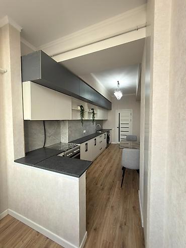 49: 2 комнаты, 49 м², Технопарк Элитка, 12 этаж, Евроремонт — 8