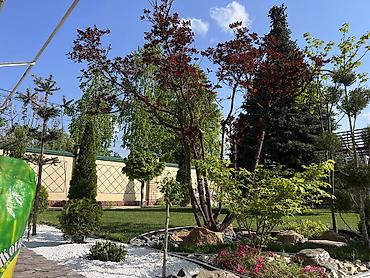 Дизайн, проектирование: Ландшафтный дизайн авто полив водопады пруды водоемы ручьи посев — 8