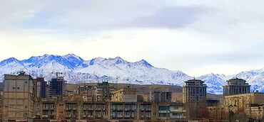 Продажа квартир: 3 комнаты, 72 м², 105 серия, 7 этаж, Старый ремонт — 8