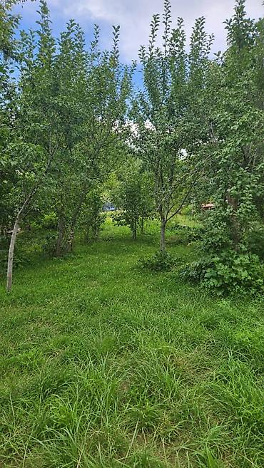 дача геофизик кызыл туу: 🏡 ПРОДАМ ДАЧУ В С. БАЙТИК, «НАУКА» Продаётся дача в живописном месте — 6