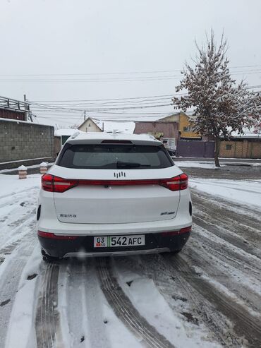 Weltmeister: Weltmeister EX5, 2021 г. — 2