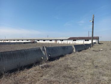 продаю участок киргизия 1: Сатам Кой короо, 10000 соток, Иштебеген, Жарым-жартылай жабдуулары менен, Скважина