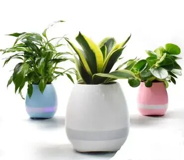 Zvučnici i stereo sistemi: *** AKCIJA *** #2290 SAKSIJA Bluetoth zvučnik Smart Music Flowerpot – — 1