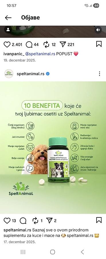 Oprema za kućne ljubimce: Pet shop Maza & Nera – sve za pse i mačke na jednom mestu - Širok — 26