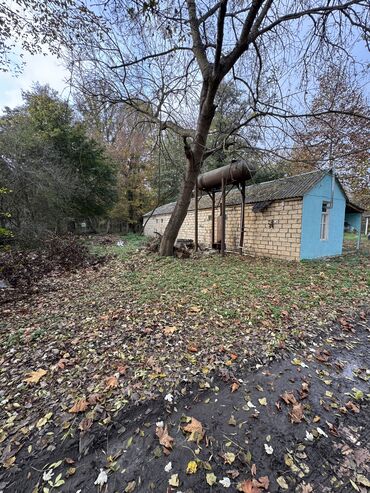 Kommersiya daşınmaz əmlakının satışı: Təcili satılır 28-sot (KUPCA CIXARIŞ TEXNİKİ PASPORT DAİMİ MÜLKİYƏT -da lalafo.az — 15 Kommersiya daşınmaz əmlakının satışı: Təcili satılır 28-sot (KUPCA CIXARIŞ TEXNİKİ PASPORT DAİMİ MÜLKİYƏT — 15