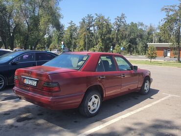 Mercedes-Benz: Mercedes-Benz W124: 1994 г., Автомат, Бензин, Седан — 8