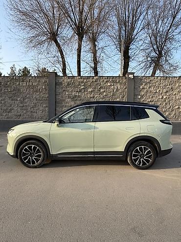 Weltmeister: Weltmeister W6, 2022 г. — 4