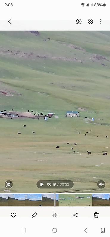 Продажа времянок: Сары джаз өрөнүндө эчкили-таш аймагында сарай, кашар сатылат — 5