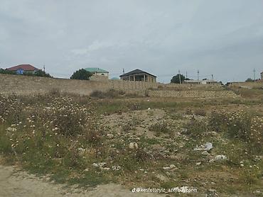 sarayda torpag: 9 sot, Tikinti, Maklerlər narahat etməsin, Kupça (Çıxarış) — 10