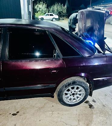 зеркала на гольф 4: Audi 100: 1991 г., 2 л, Механика, Бензин, Седан — 10