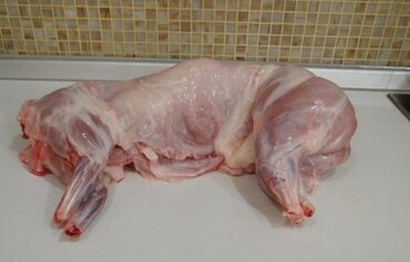 декоративные кролик: Кроличье мясо свежее диетическое,цена за килограмм!!! Без химикатов