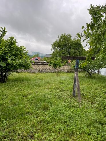 Torpaq sahələrinin satışı: 5 sot, Kənd təsərrüfatı -da lalafo.az — 12 Torpaq sahələrinin satışı: 5 sot, Kənd təsərrüfatı — 12