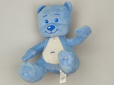 Mascot Teddy bear, condition - Very good