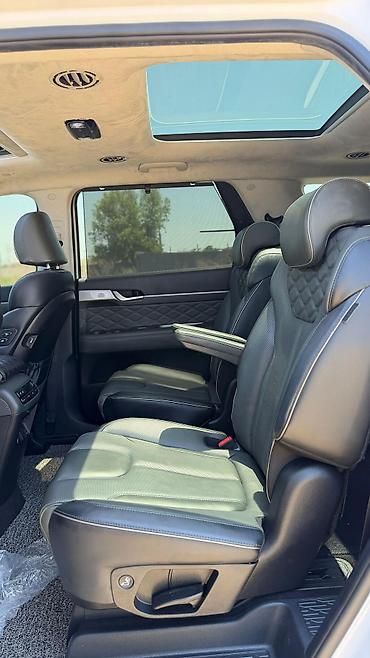 Hyundai: Hyundai Palisade: 2020 г., 2.2 л, Автомат, Дизель — 15