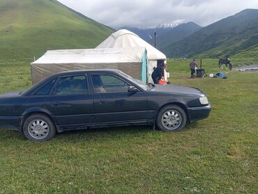 решетка на пассат б3: Audi 100: 1991 г., 2.6 л, Механика, Бензин, Седан