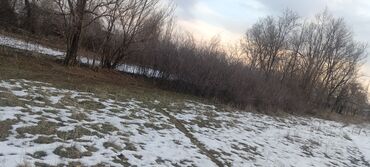 Продажа участков: 8 соток, Для сельского хозяйства, Красная книга — 11