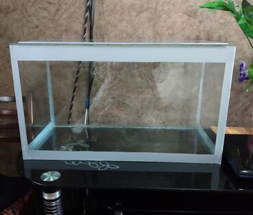 аквариум рыба: Продаю новый аквариум на 60 литров