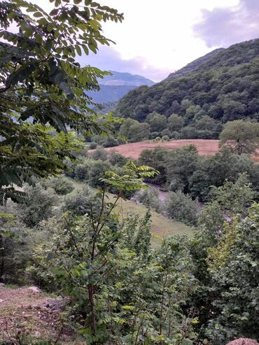 Günlük kirayə evlər: 200 kv. m, 5 otaqlı, Artezian quyusu, Kanalizasiya, Kombi — 29