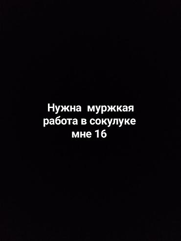 электрик кипиа: Ищу работу в Сокулуке. Возраст — 16 лет. Рассмотрю варианты — 1