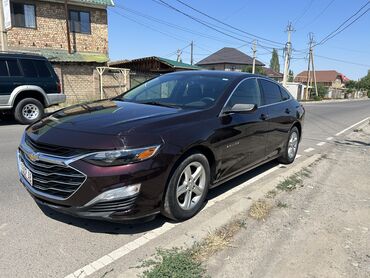 шевроле малибу 2016: Chevrolet Malibu: 2020 г., 1.5 л, Автомат, Бензин, Хэтчбэк