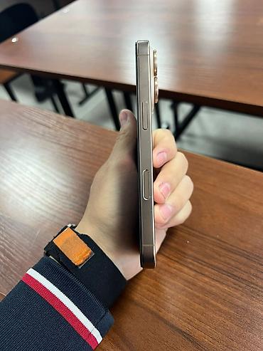 iphone 13 pink: Смартфон Apple iPhone (линейка с тройным модулем камеры) в светлом — 4