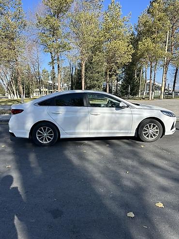 byd yan plus: Hyundai Sonata: 2022 г., 2 л, Автомат, Бензин, Седан — 1