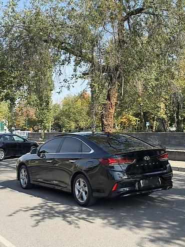 sonata 2016: Hyundai Sonata: 2018 г., 2 л, Автомат, Газ, Седан — 7