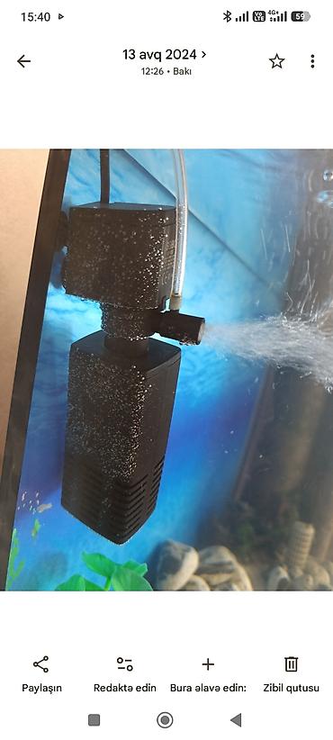 Akvariumlar: Akvarium-şkaf, Boş, 200 l — 2