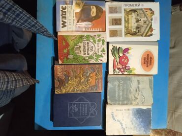 Другие книги и журналы: Книги — 6