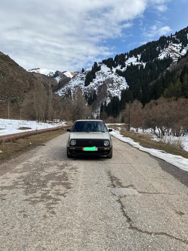 машины за 100000: Volkswagen Golf: 1989 г., 1.8 л, Механика, Бензин