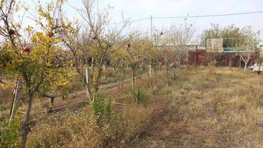 Torpaq sahələrinin satışı: 6 sot, Maklerlər narahat etməsin, Kupça (Çıxarış) — 13