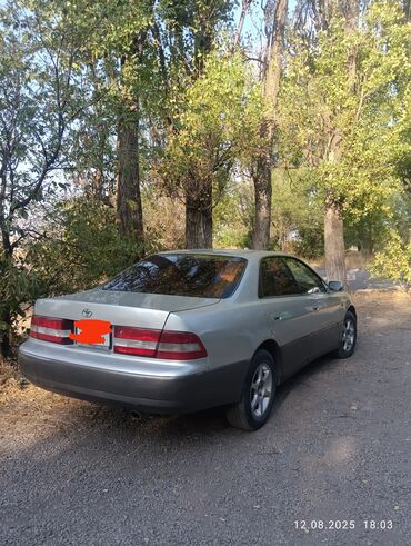 губа тойота виндом: Toyota Windom: 1999 г., 2.5 л, Автомат, Газ, Седан