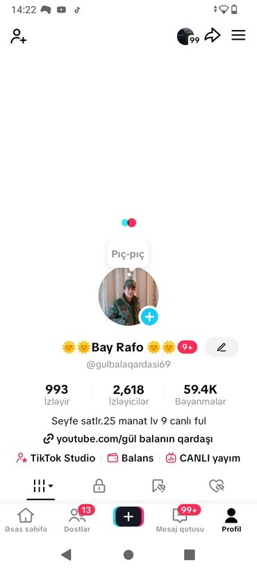 balakən toxum mmc: Məhsul: TikTok profili “Bay Rafo” (@gulbalaqardasi69) Xüsusiyyətlər