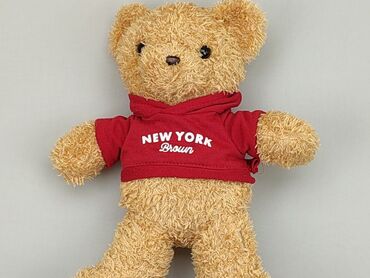 legginsy dziury: Mascot Teddy bear, condition - Good